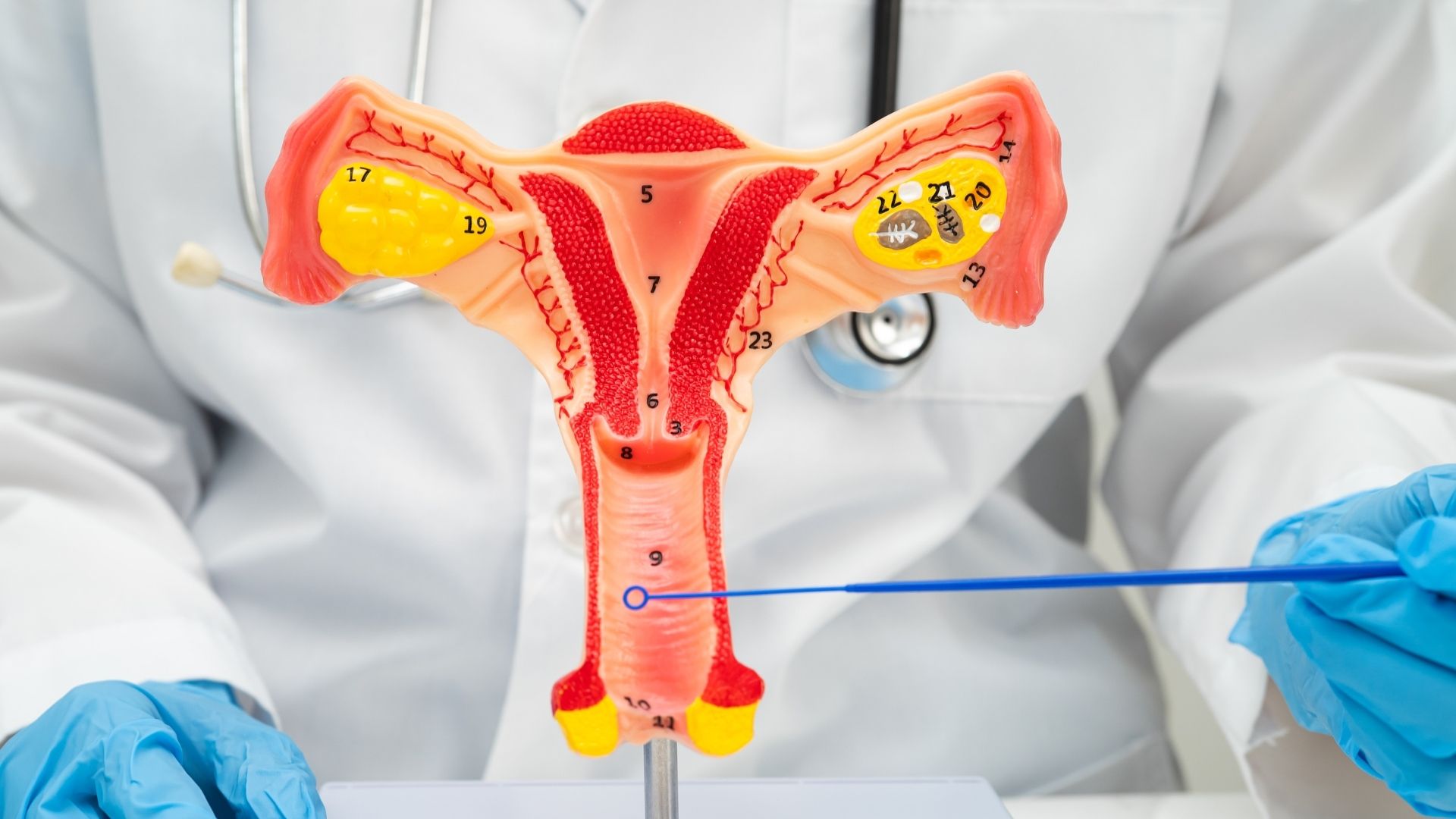 Flujo vaginal anormal: causas, síntomas y cuándo consultar